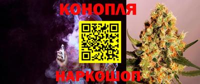 сатива Севастополь