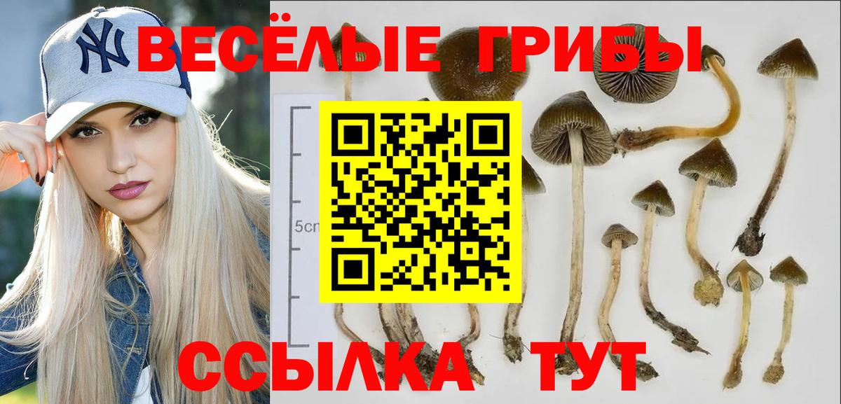 Ноябрьск  сколько стоит  Вход с VPN  Псилоцибиновые грибы Magic Shrooms 