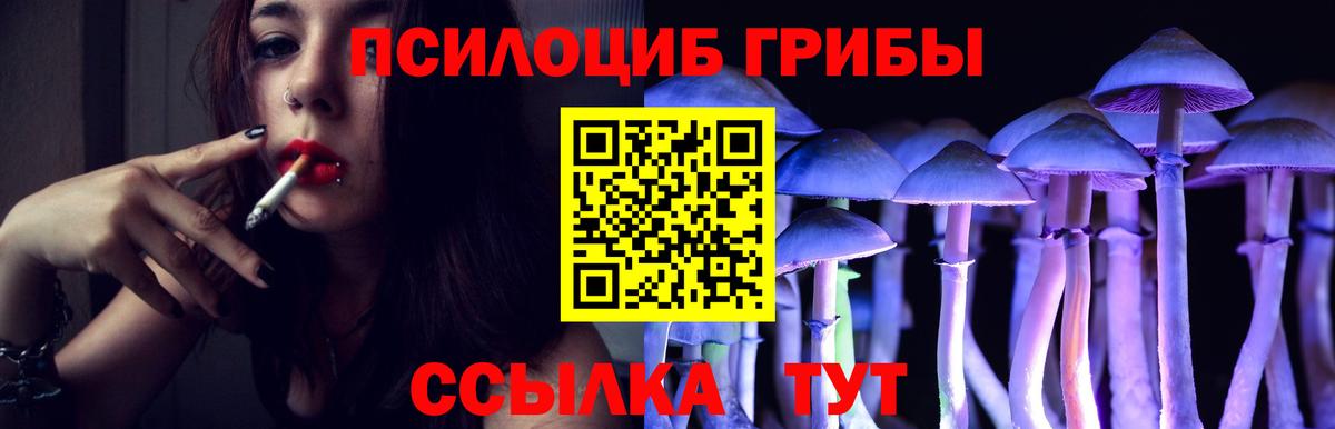 Псилоцибиновые грибы ЛСД Ноябрьск